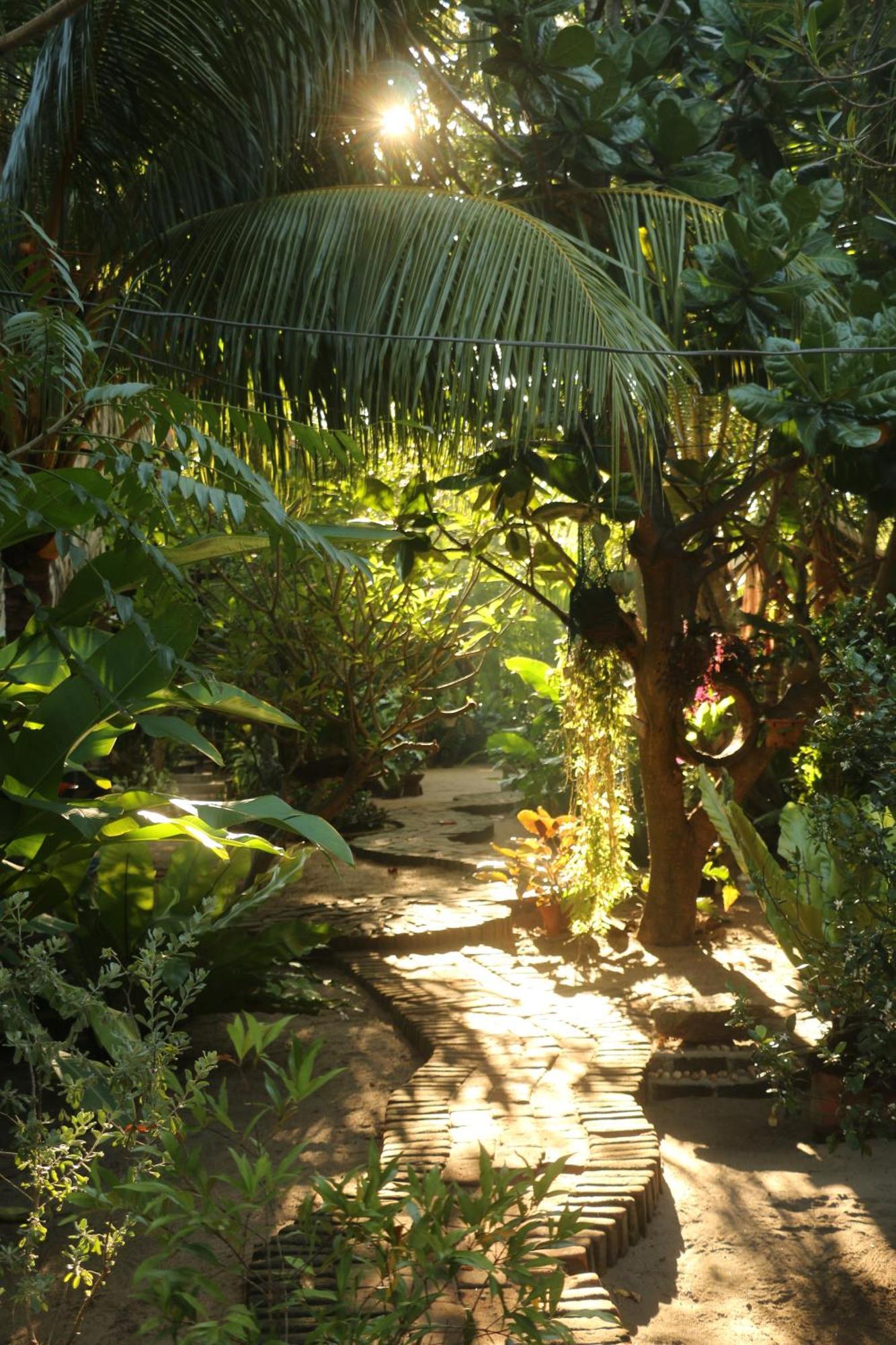 Monsoon Eco Resort - Whisky Point Arugambay Pottuvil Bagian luar foto